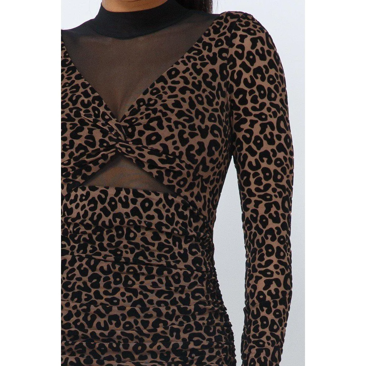 Animal Print Long Sleeve Mock Neck Mini Dress